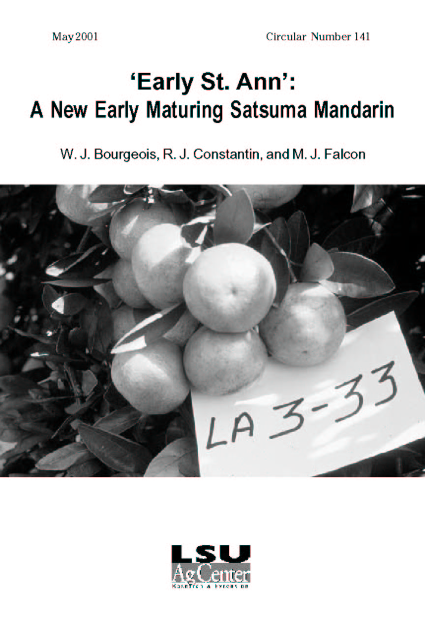 Early St. Ann: A New Early Maturing Satsuma Mandarin (May 2001)