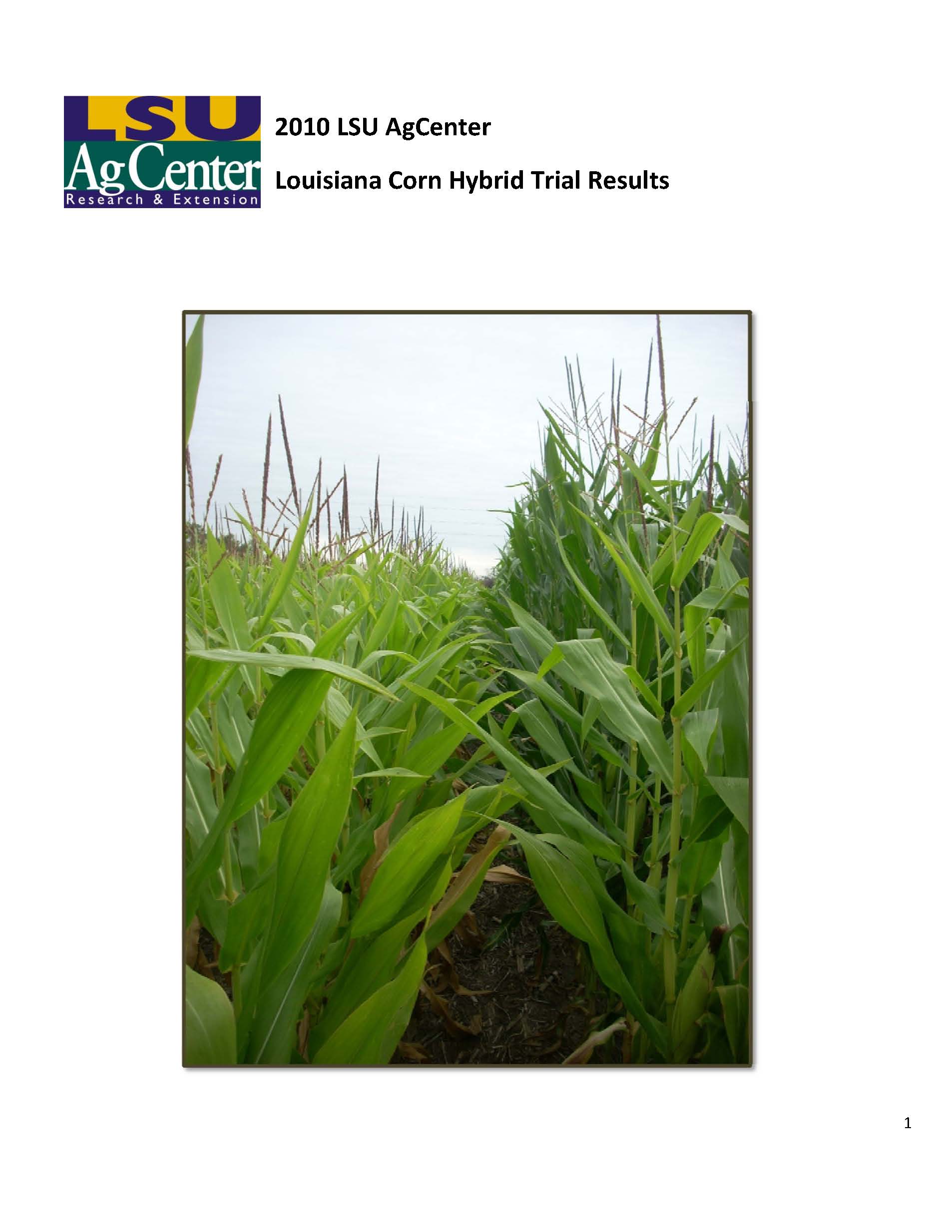 Louisiana Corn Hybrid Trial Results 2010