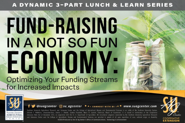 Fund-Raising in a Not so Fund Economy: Optimizing Your Funding Streams for Increased Impacts
