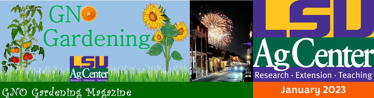 GNO Gardening - January 2023