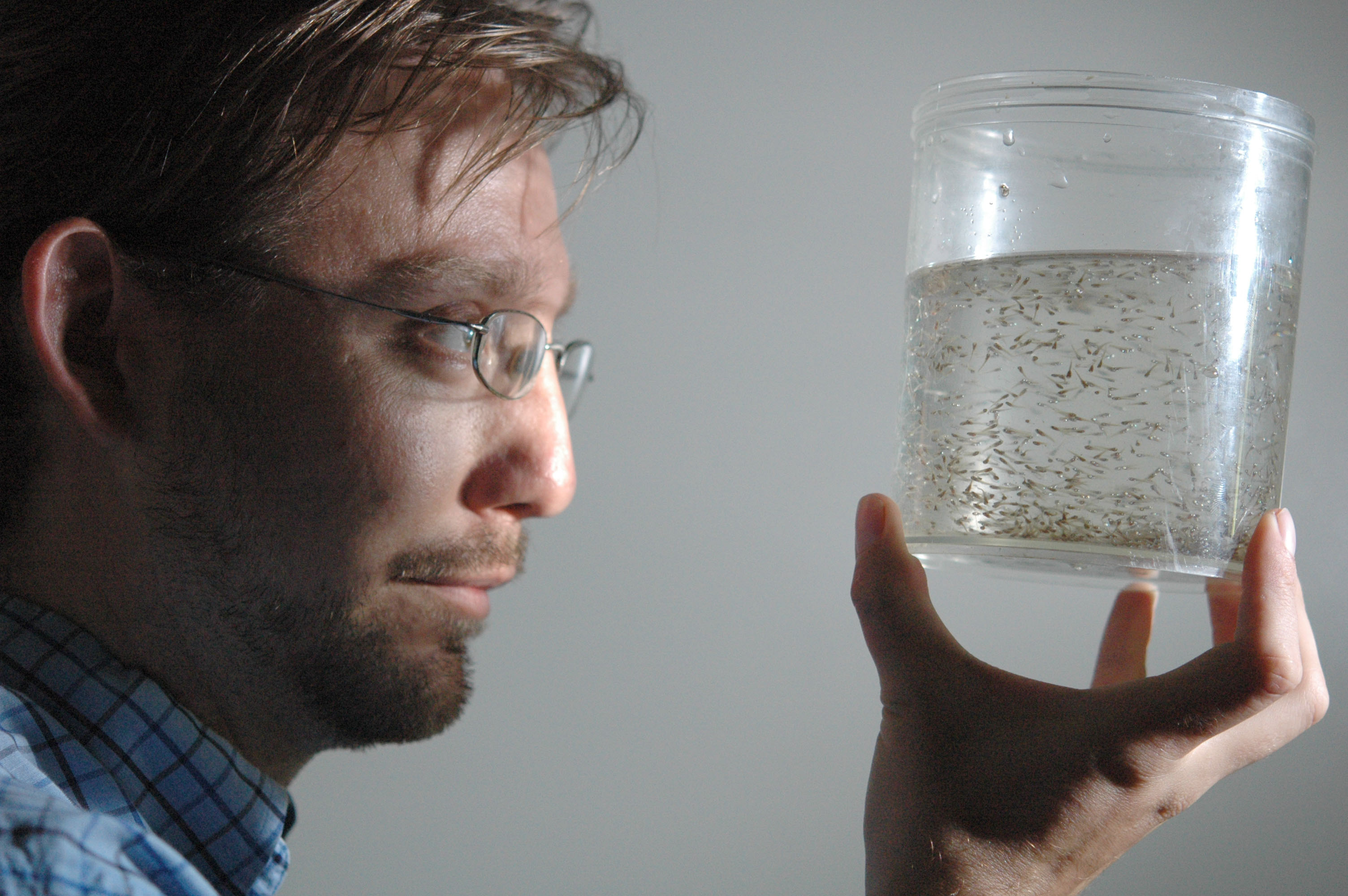 Improving Reproduction for Reliable Marine Bait