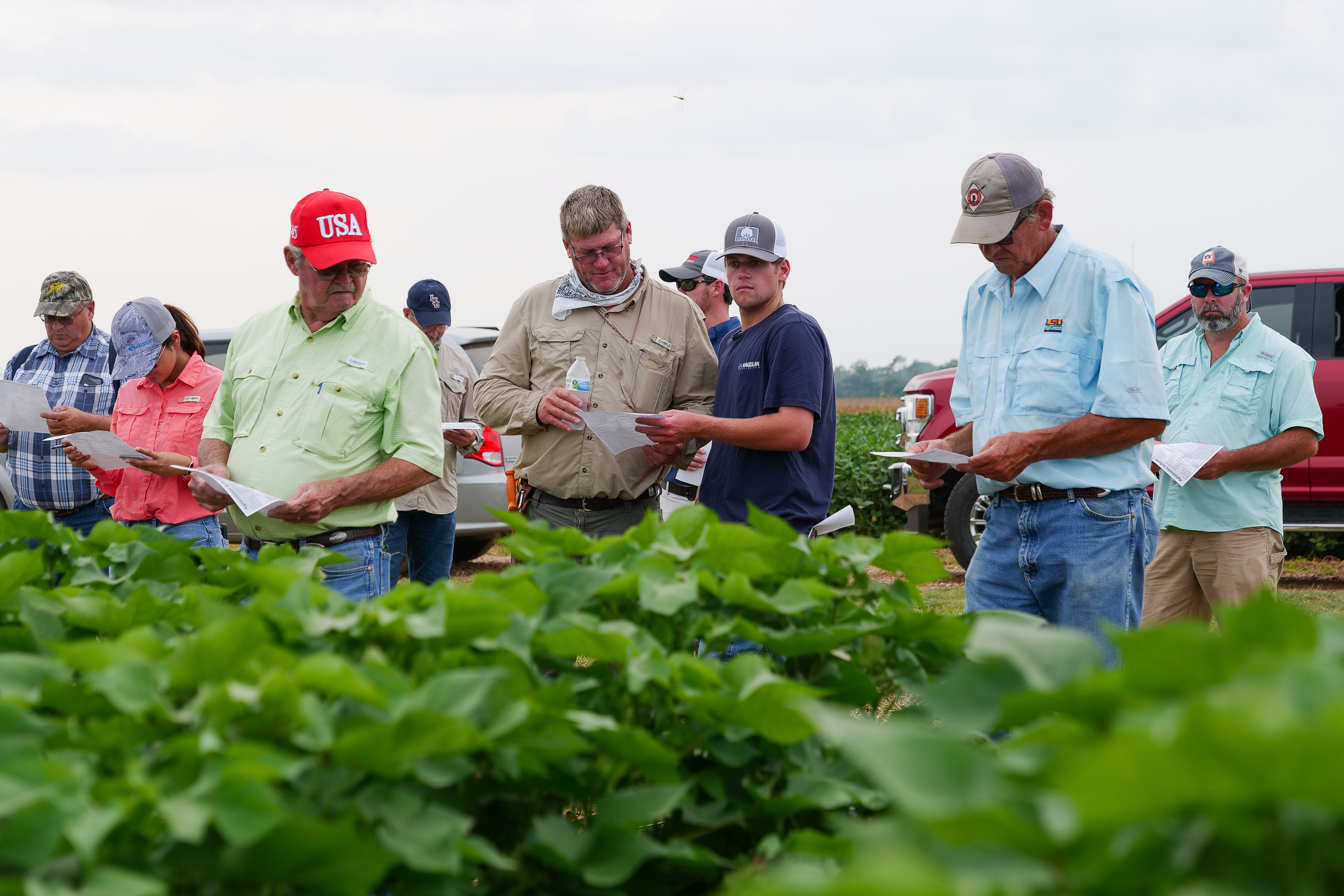 Agronomic Crops School slated for Aug. 4 near Alexandria