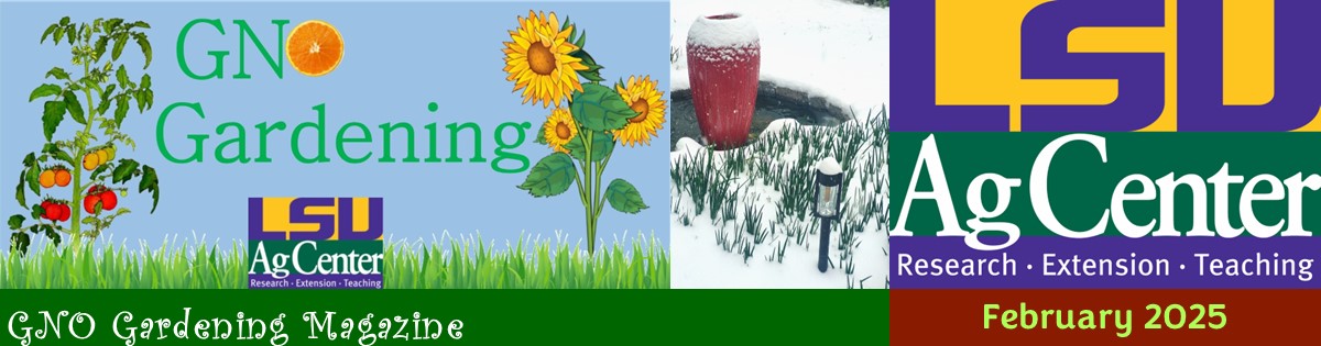 GNO Gardening Magazine - February 2025