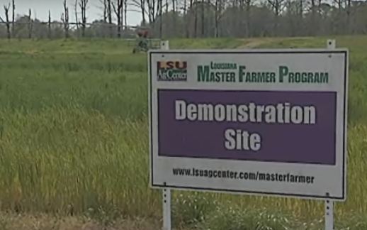 Macon Ridge Research Station Video
