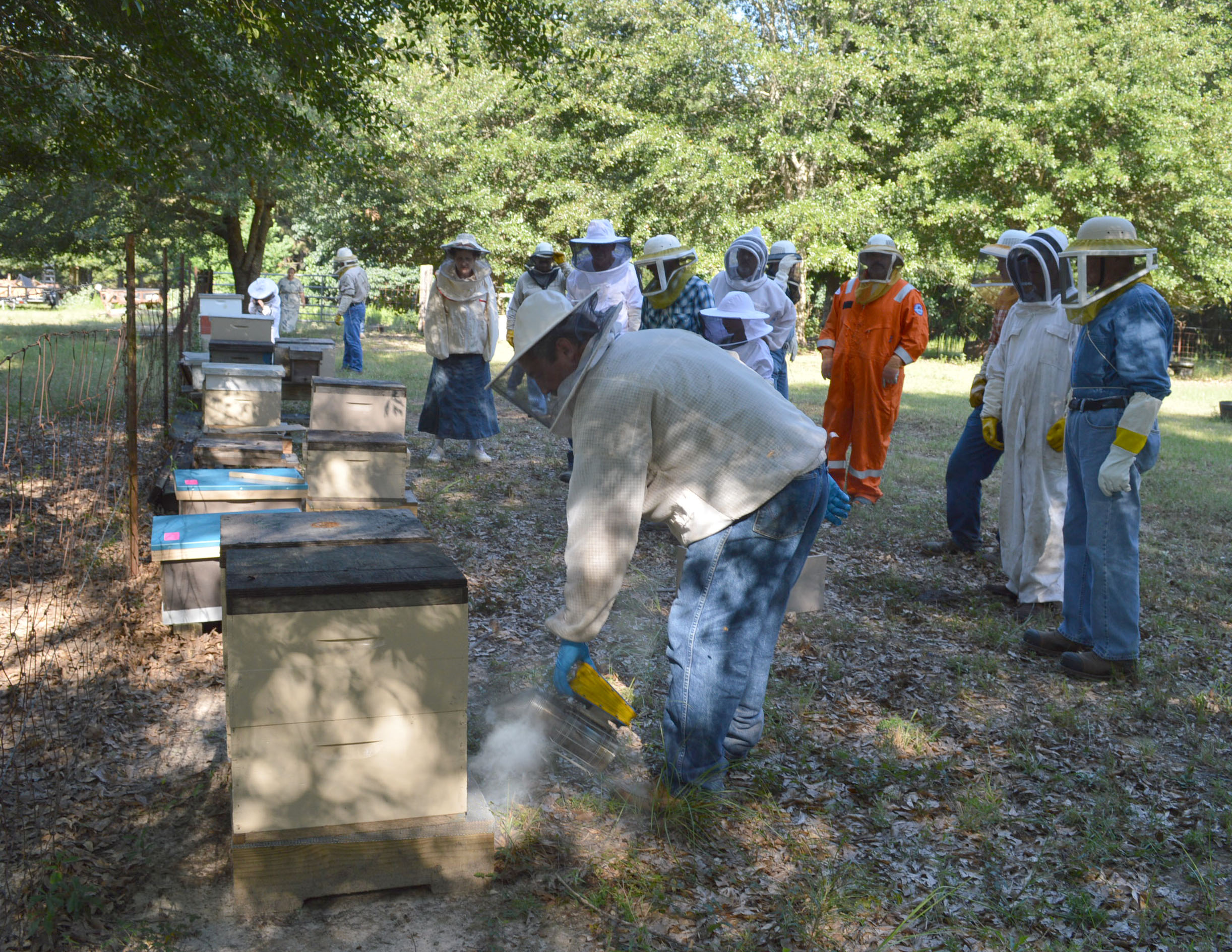 Aspiring beekeepers get basic training