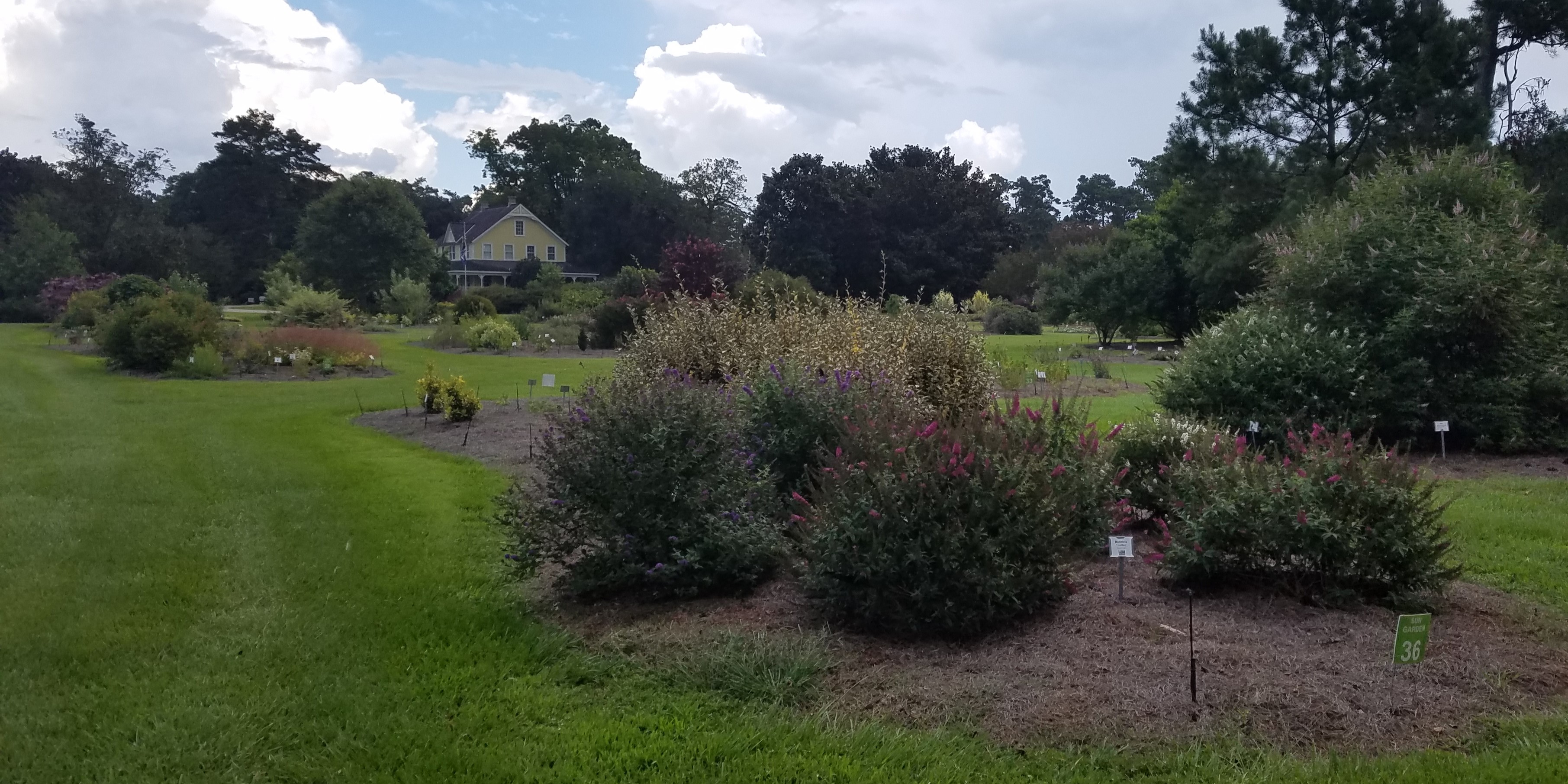 Prepare Landscape Beds Well for Healthy Plants