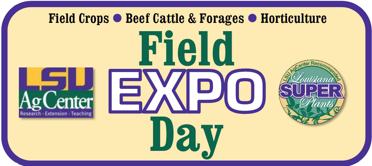 LSU-AgCenter-field-expo-day-June27jpgjpg