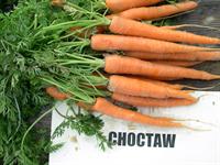 Carrots