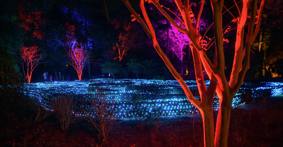 Stunning displays and holiday landscapes return with Louisiana Lights