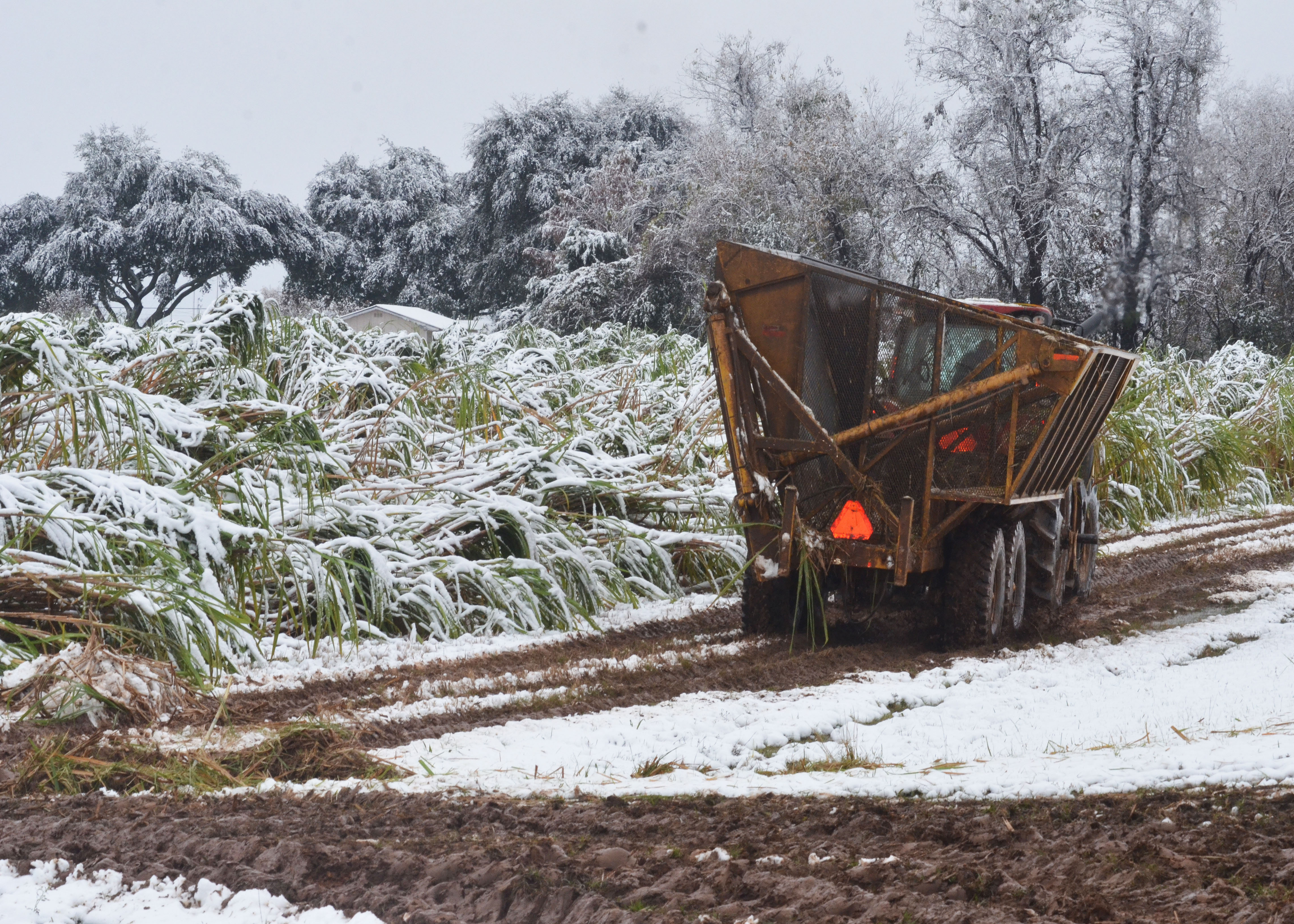 snow2.jpg thumbnail