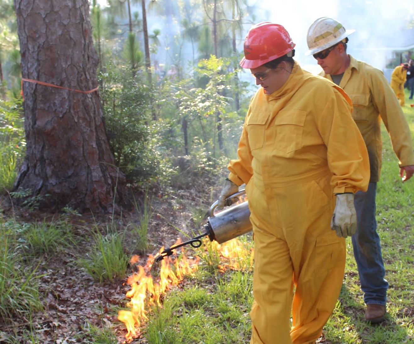 Prescribed Burn Workshop with LDAF Certification