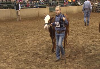 2018 LSU AgCenter Livestock Show 