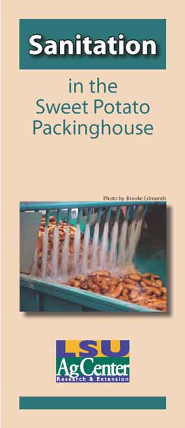 Sanitation in the Sweet Potato Packinghouse