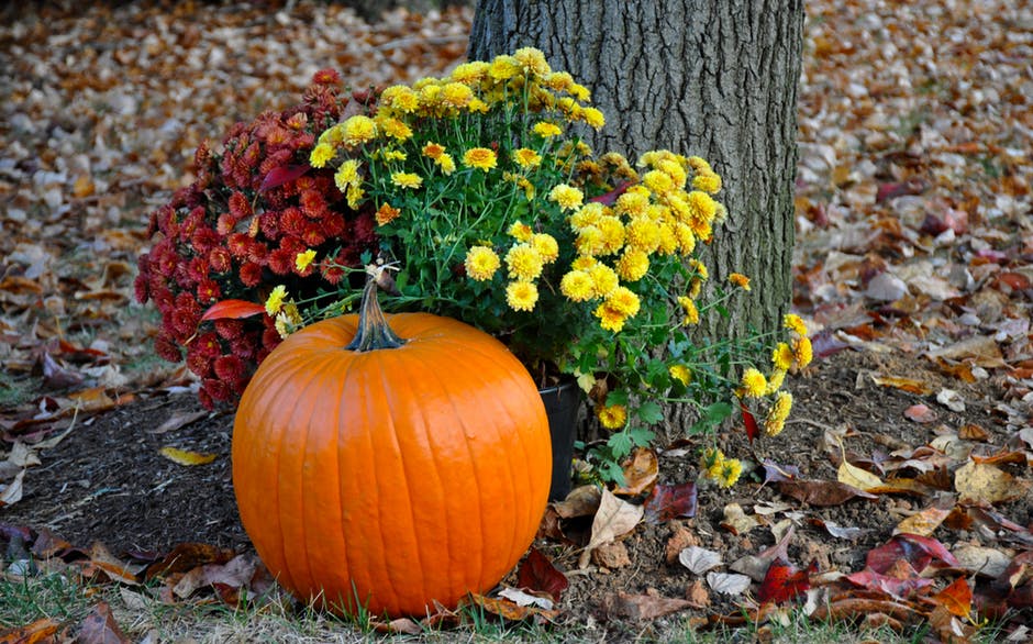 Get Ready for Fall Gardening
