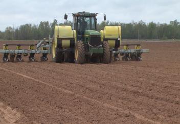 Louisiana corn planting behind schedule