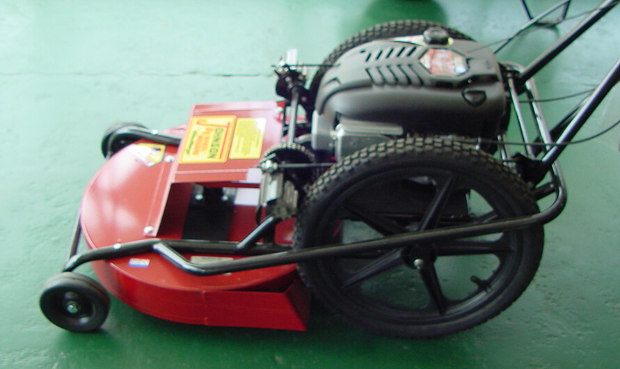 Do You Need a Power Lawnmower?