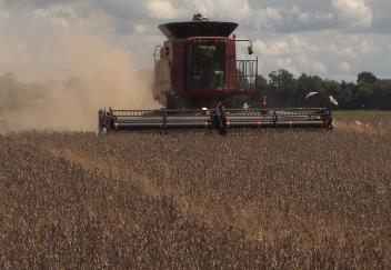 Soybean harvest exceeds previous record