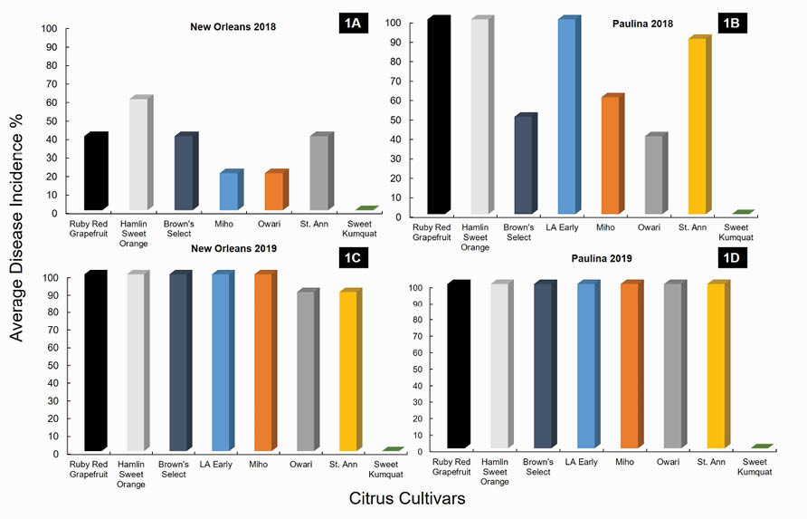 A series of four vertical bar charts using the Y axis to display the Average Disease Incidence percentage of eight different citrus cultivars listed across the X axis. The four charts are localized for New Orleans and Paulina in 2018 as the top two and the bottom two are the same locations in 2019. Refer to article contents for relevant data.