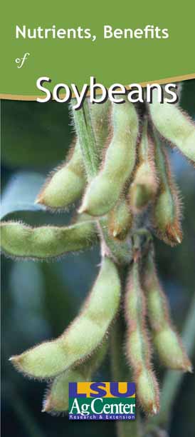 Nutritional Benefits of Soybeans