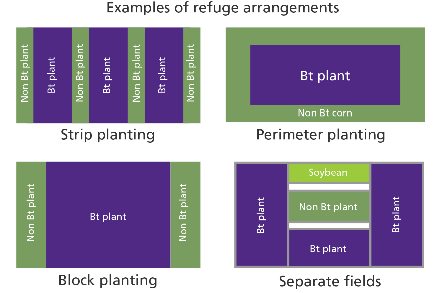 Resistance Development to Bt Crops in Caterpillars: Implications for Pest Management and Cotton/Corn Production in Louisiana