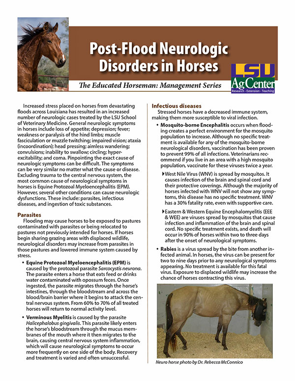 Post-Flood Neurologic Disorders in Horses