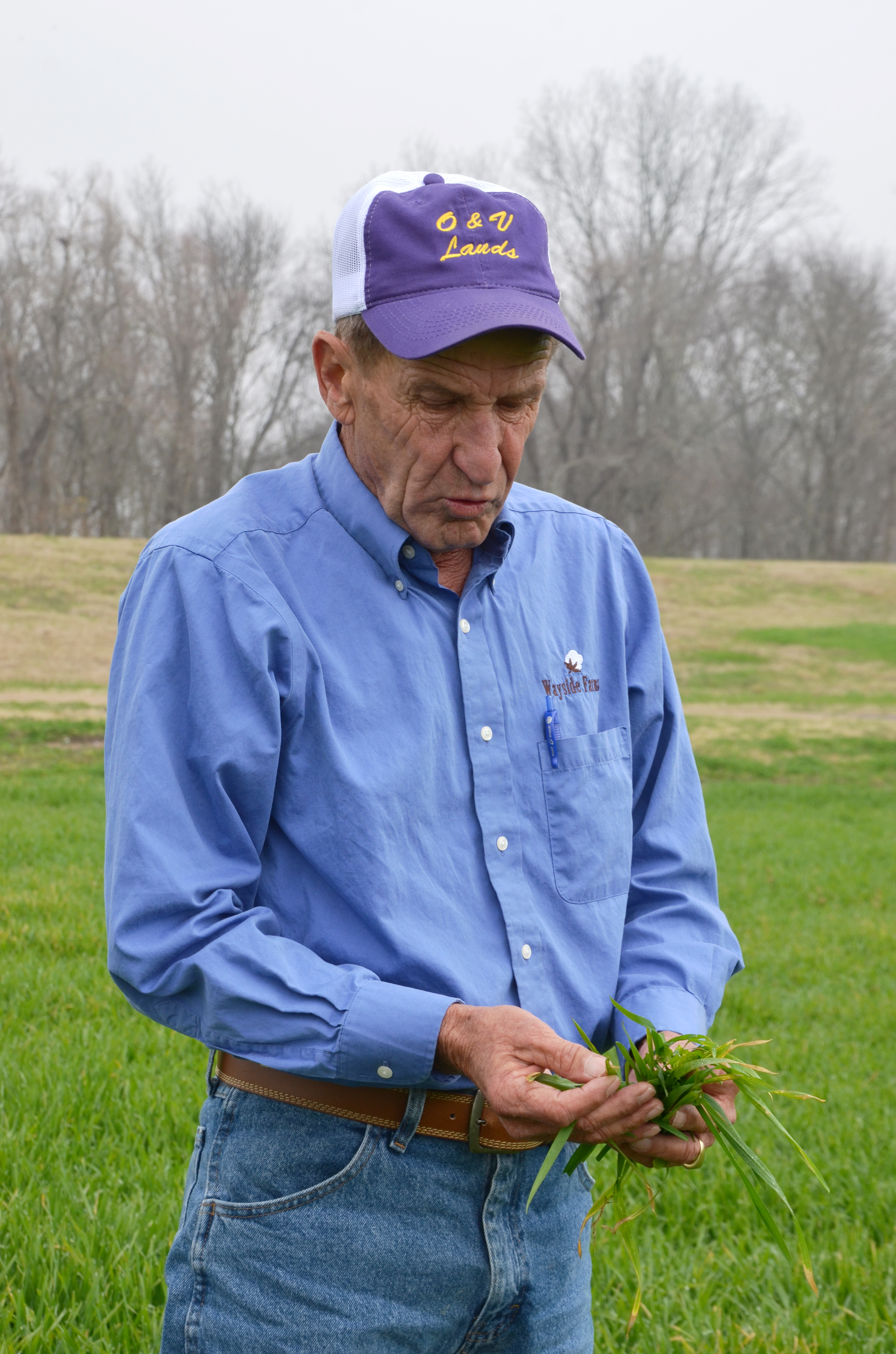 Avoyelles Parish farmer concentrates on conservation, wins award
