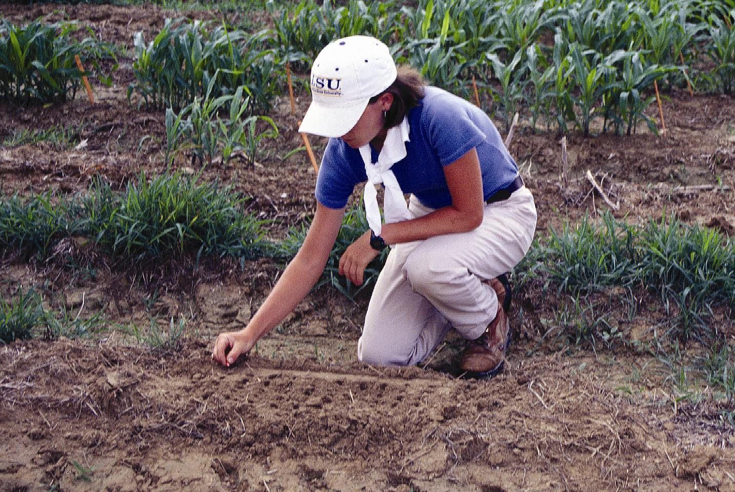 Melissa Willrich Planting