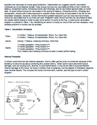 Horse Health