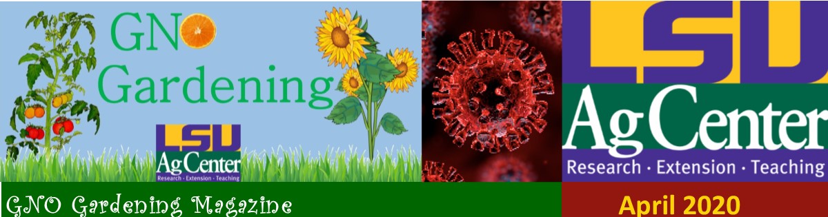 GNO Gardening - April 2020