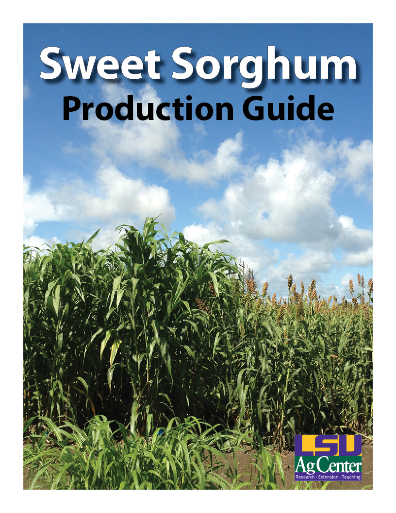 Sweet Sorghum Production Guide