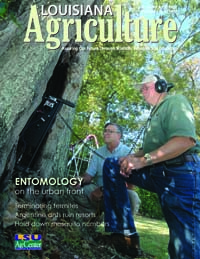 Louisiana Agriculture Magazine Fall 2007