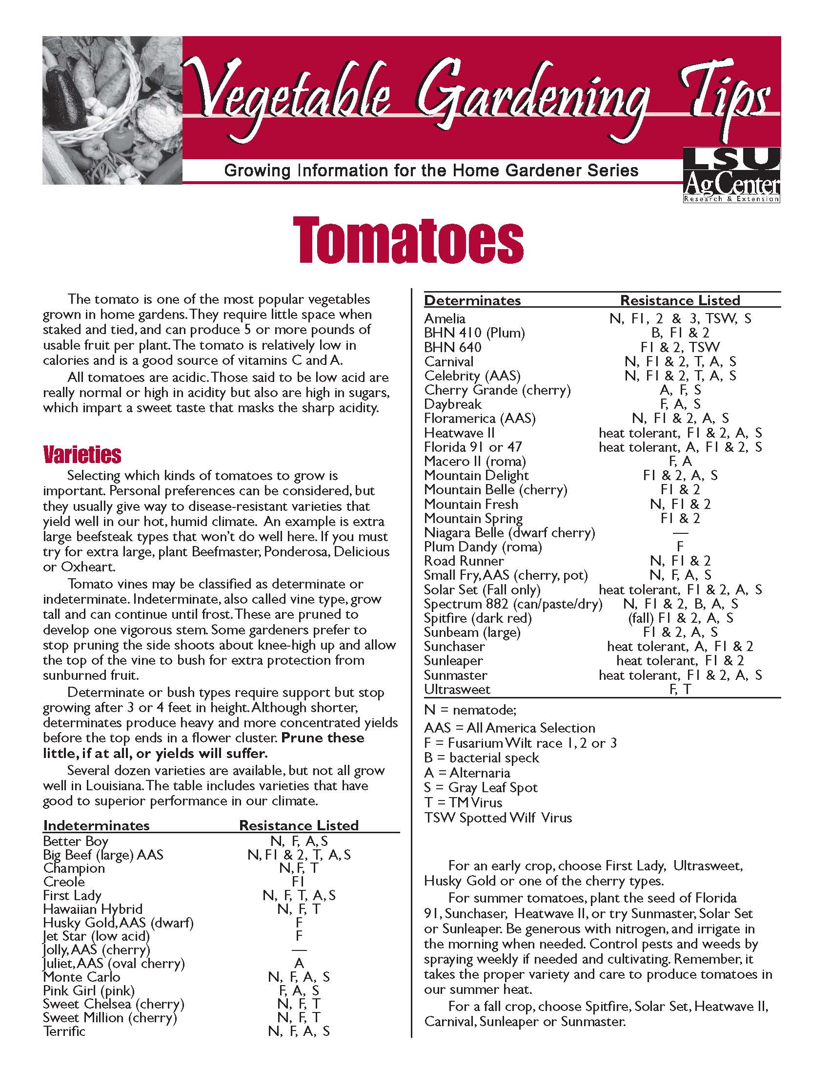 Tomatoes