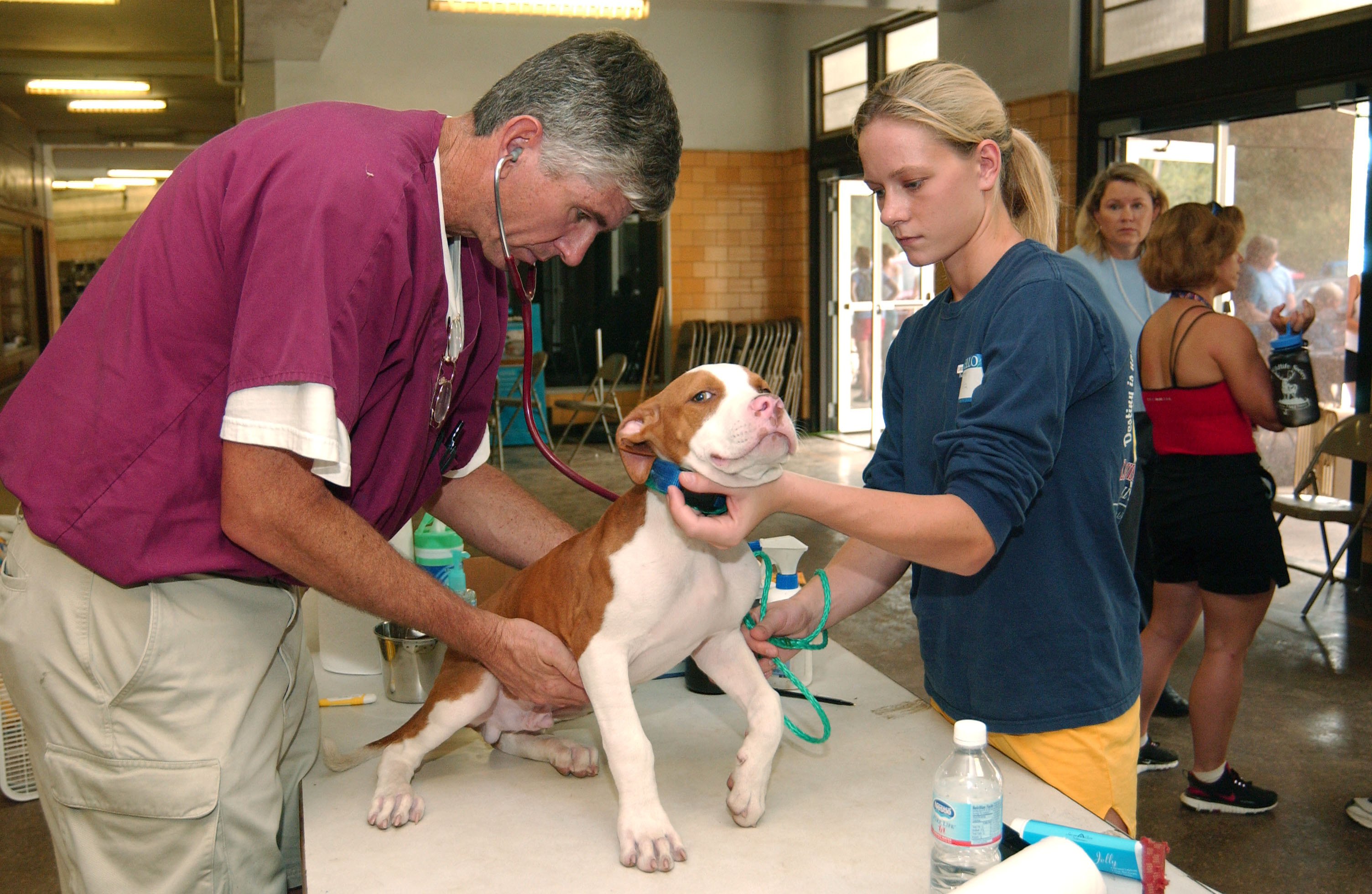 Animal Shelter - Parker Coliseum
