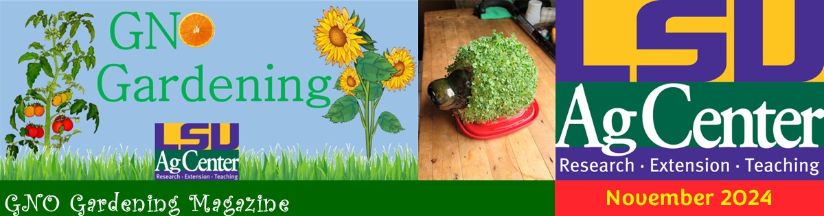 GNO Gardening Magazine - November 2024
