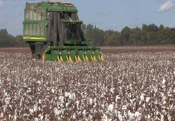 2014 Louisiana ag year review