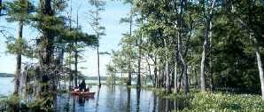 Black Bayou Lake National Wildlife Refuge in Monroe, La. 