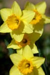 Explore Nature in March