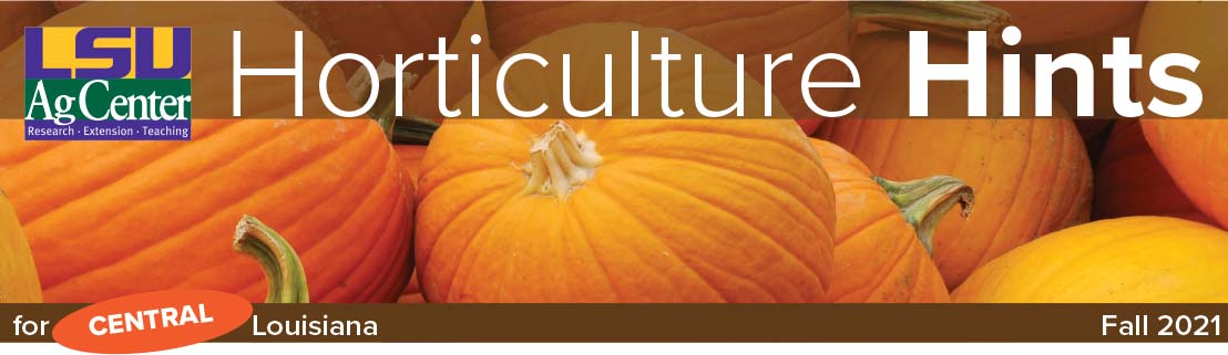 HortHint_Header_Fall_2021-Central.jpg thumbnail