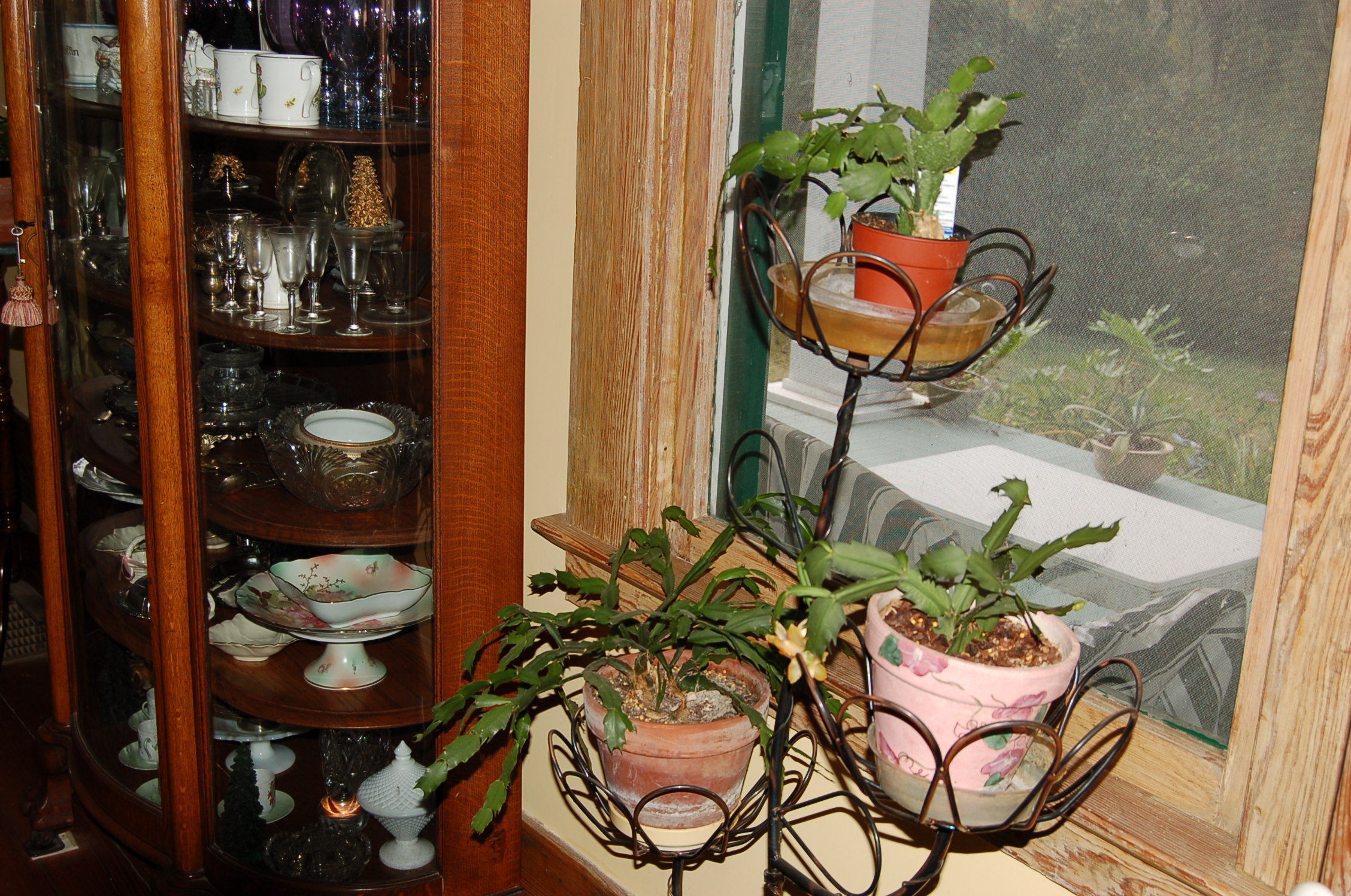 Plan carefully for growing plants indoors