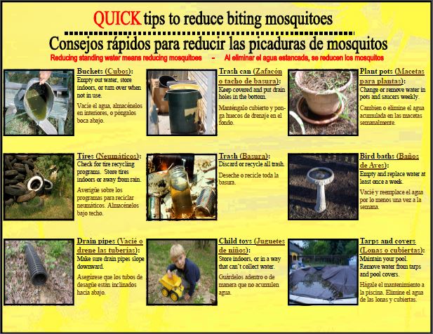 Quick Guide to Reduce Mosquitoes