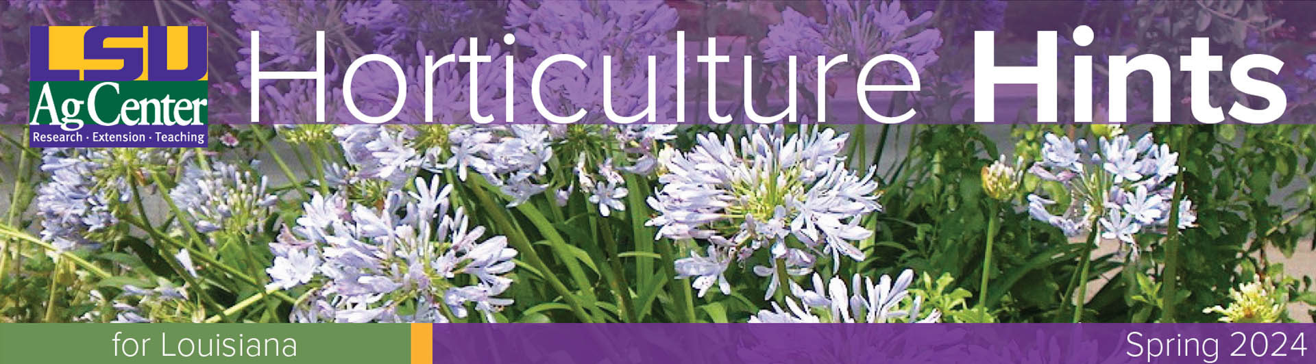 Horticulture Hints for Louisiana banner for Spring 2024.