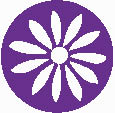 seasons-icons-solid.jpg thumbnail